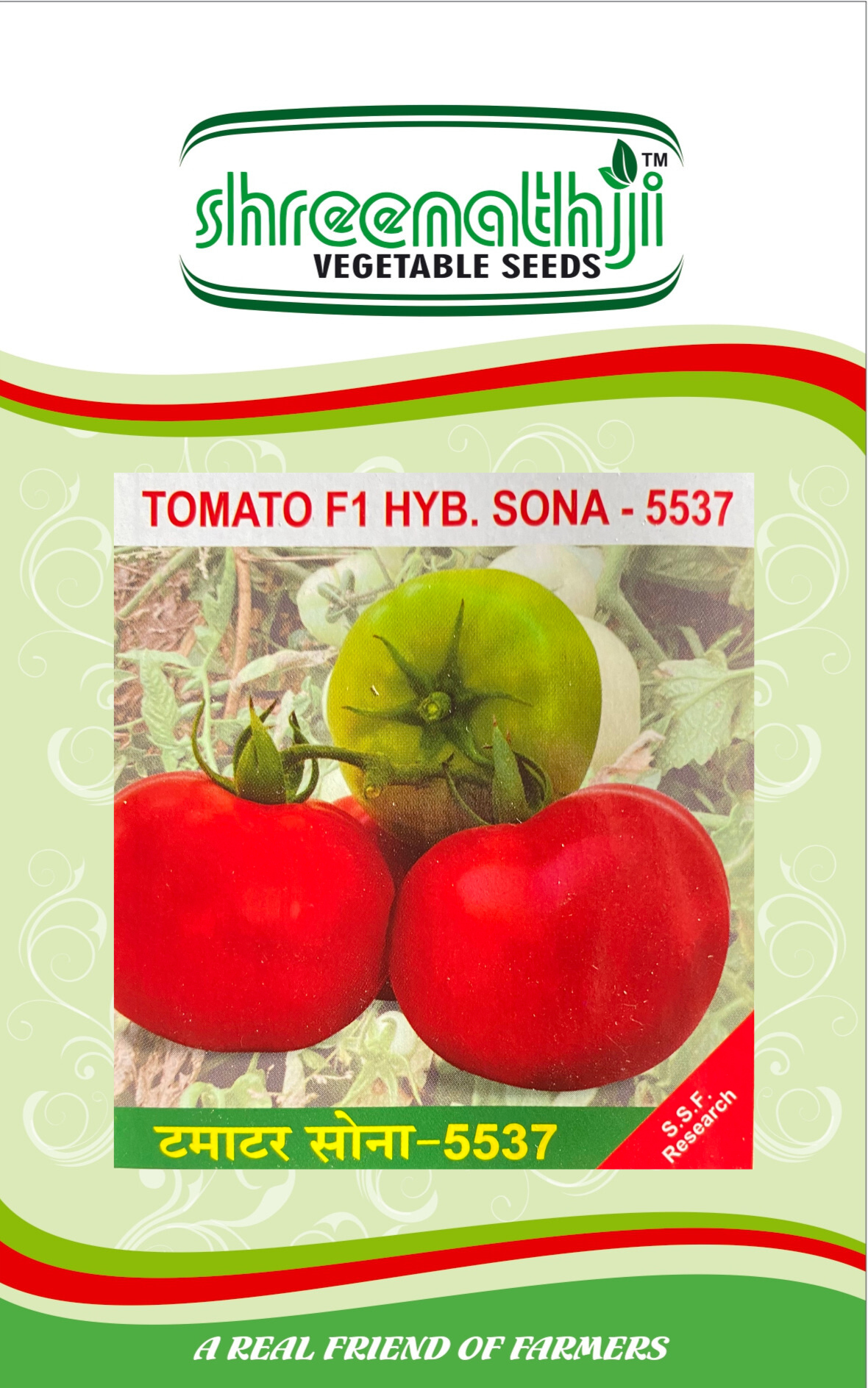 ટામેટા સોના 5537